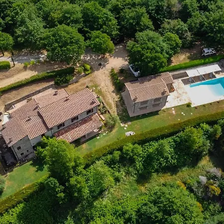 Comunalia By Mmega * Nestore